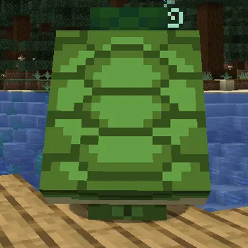 Turtle armor back view 2