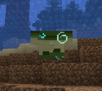 Swimming with turtle armor