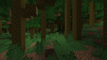 Umbrella Forest