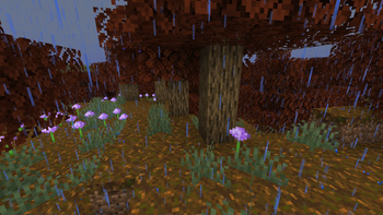 Amberwood Grove