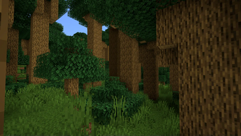 Overgrown Oak Forest