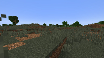 Dry Grassland