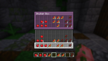 Shulker Box