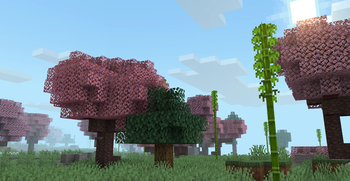 Cherry Sorbet — screenshot 5