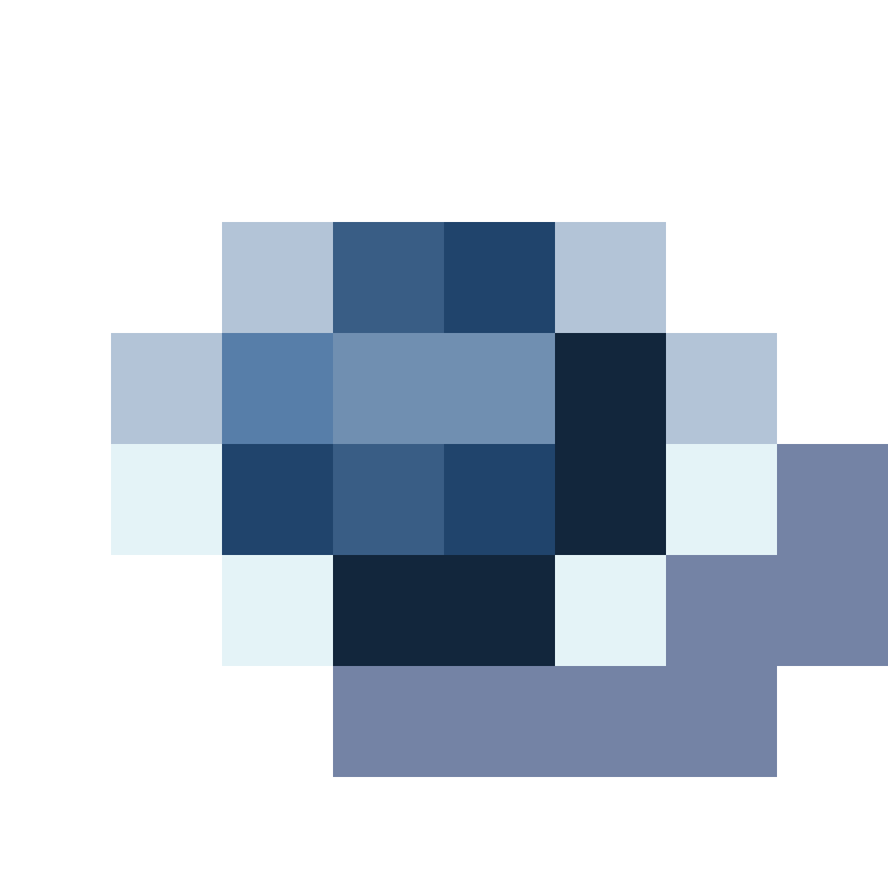 Flutter