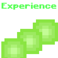 Experience Action Bar