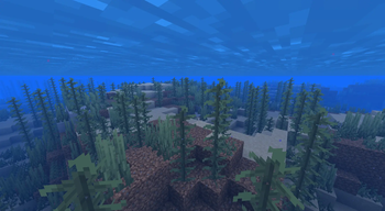 Lukewarm Ocean
