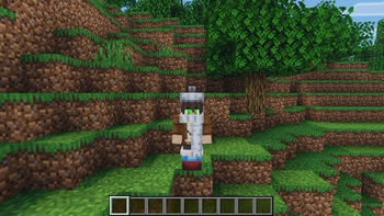 white scarf, white winter hat, snowshoes