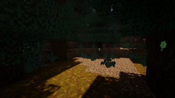 Tiaga Forest