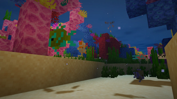 Coral Reef