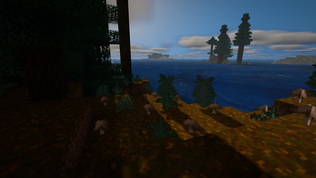 Sky and water