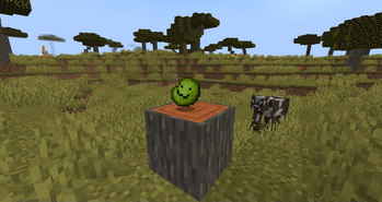 Gorp is an item