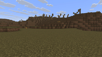 Drylands