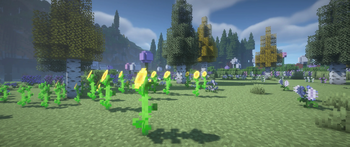 Sunflowers