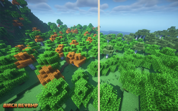 Forest Biome Comparison