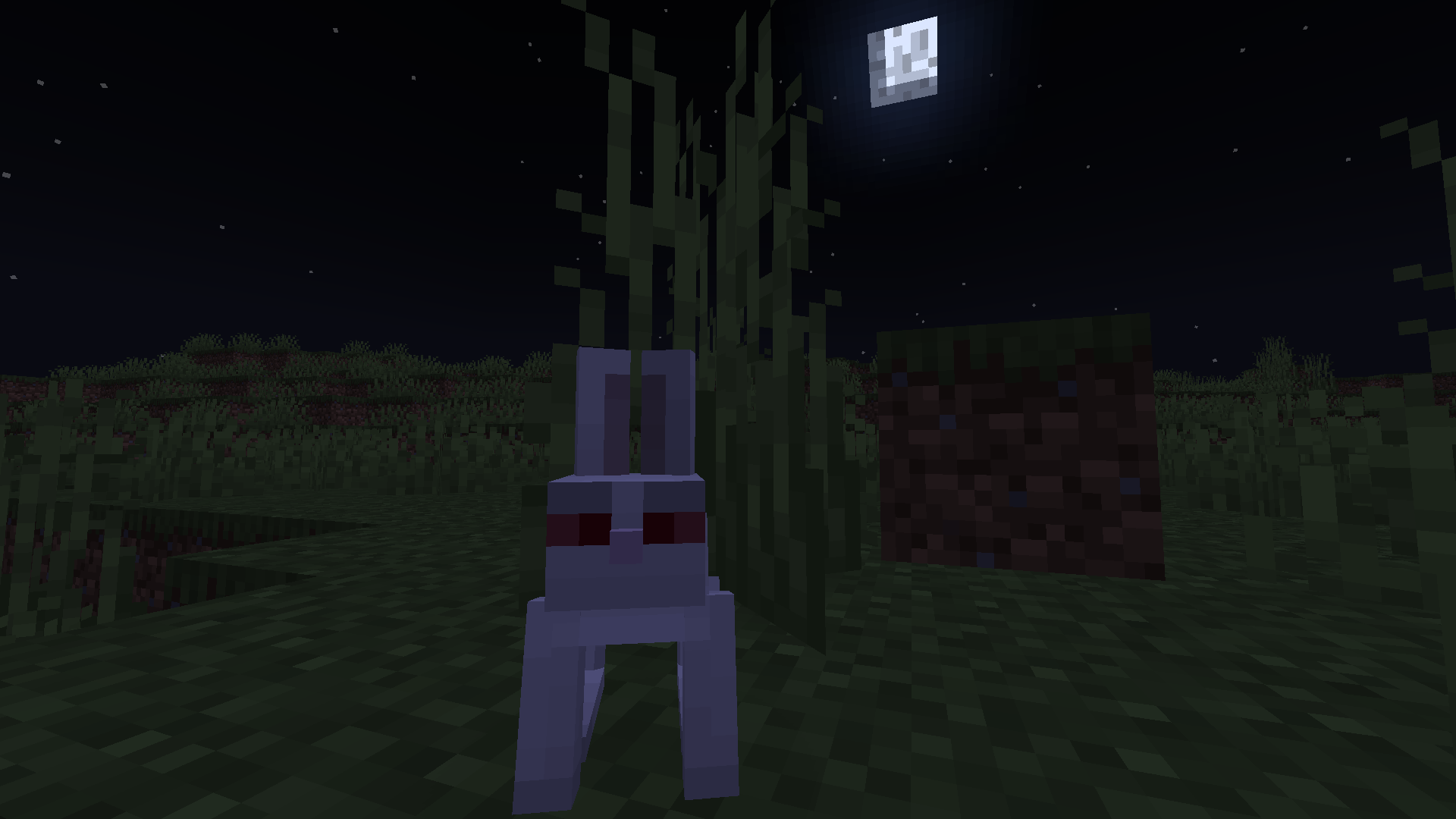 Killer Bunnies during full moon