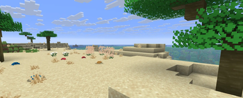 Tropical Beach