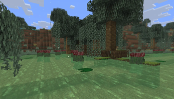 Deep Swamps 2