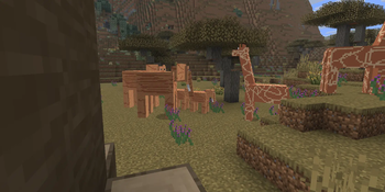 Grasslands