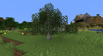 Birch tiny tree