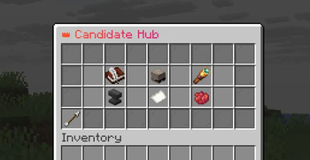 Candidate Hub