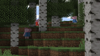 Pigs