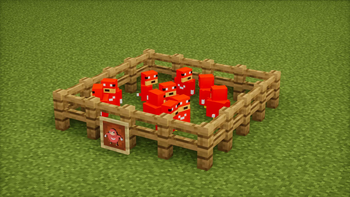 Chicken? Knuckles!