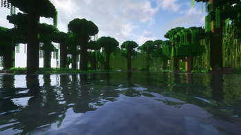 Jungle