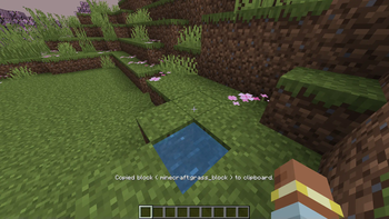 Default Block