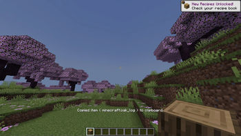 Default Item