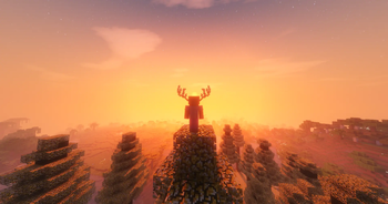 Shaders