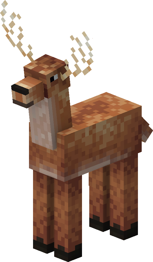 Deer
