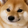 Fluffui