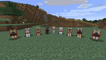Dog variants