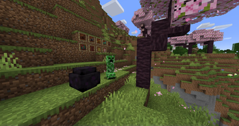 Creeper, Dragon Egg & Other Items