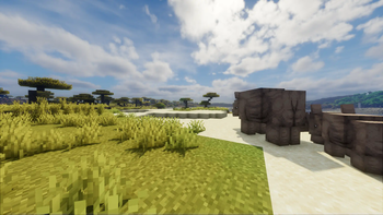 Savannah Biome