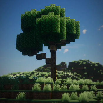 output photo C
