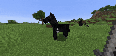 Getting resistance IV from a horse