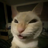 KsDev