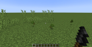 Cutting grass