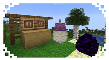 Elytra and Dragon Egg