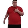 NicoTotem