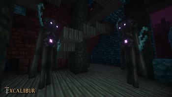 Warped Endermen