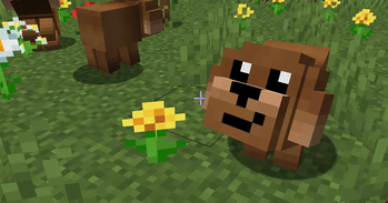 Ingame