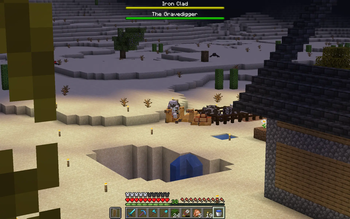 Desert boss on camel