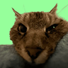 Modrinth profile picture for @Kaet