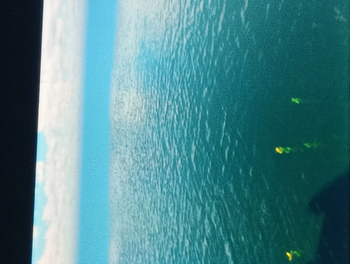 water