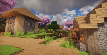 Village