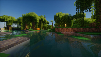 Swamp