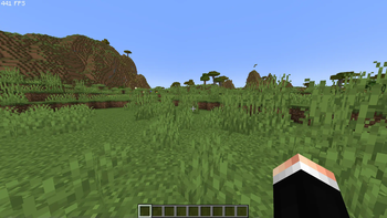 FPS Test